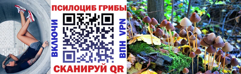 Псилоцибиновые грибы Psilocybe  даркнет состав  Саки 
