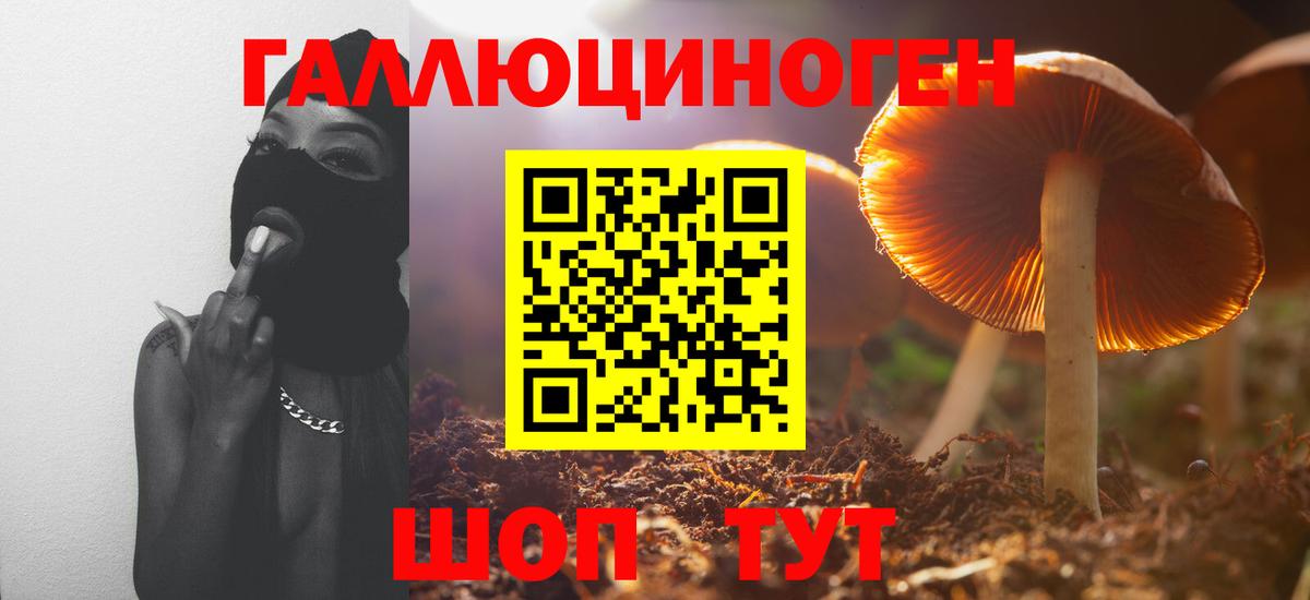 Псилоцибиновые грибы Magic Shrooms  где продают   Саки  Вход с VPN  Псилоцибиновые грибы Magic Shrooms 